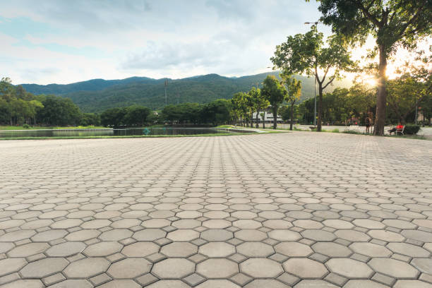 Best Professional Driveway Pavers  in Winnie, TX